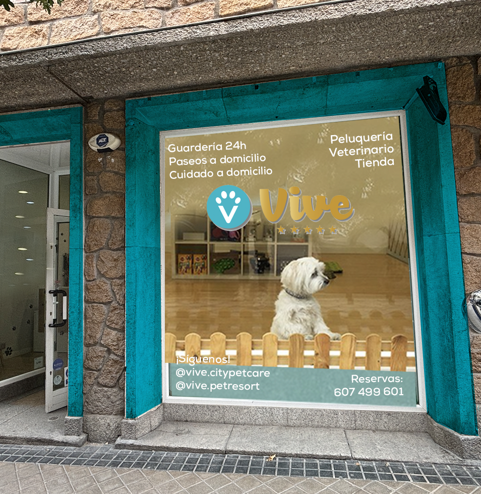 Hotel Guardería Vive